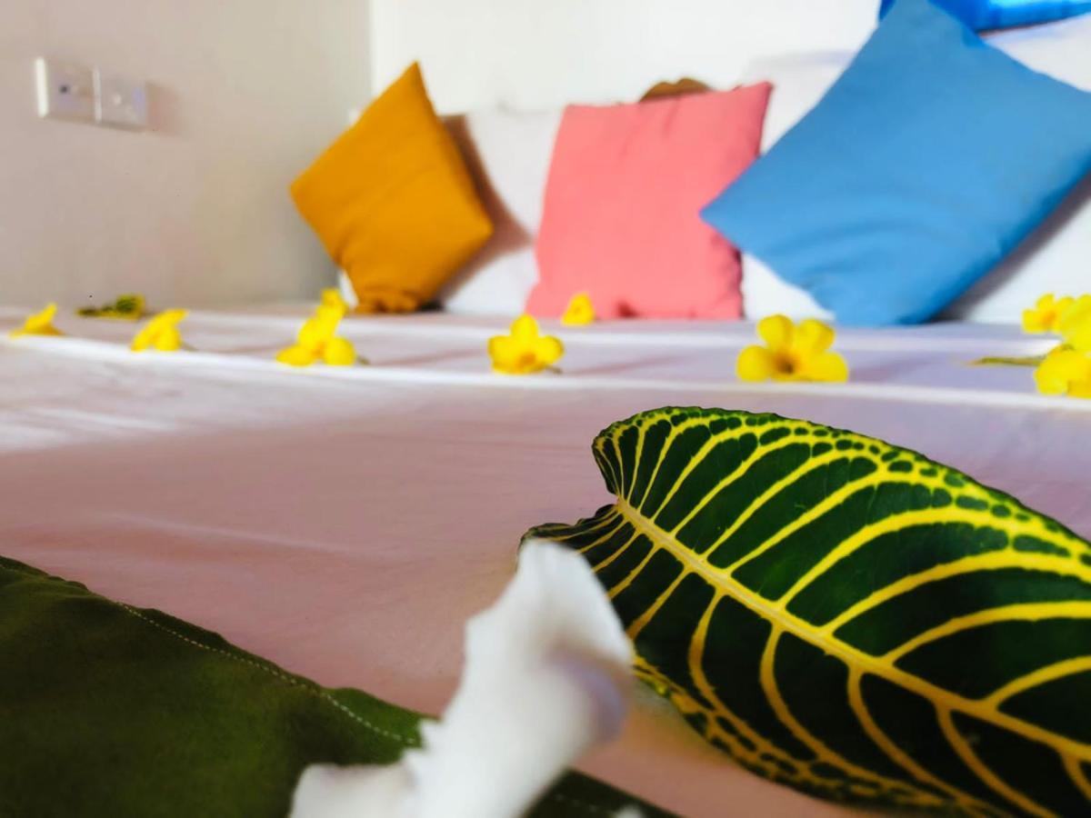 Rock Paradise Beach Hotel & Restaurent Tangalle Kültér fotó